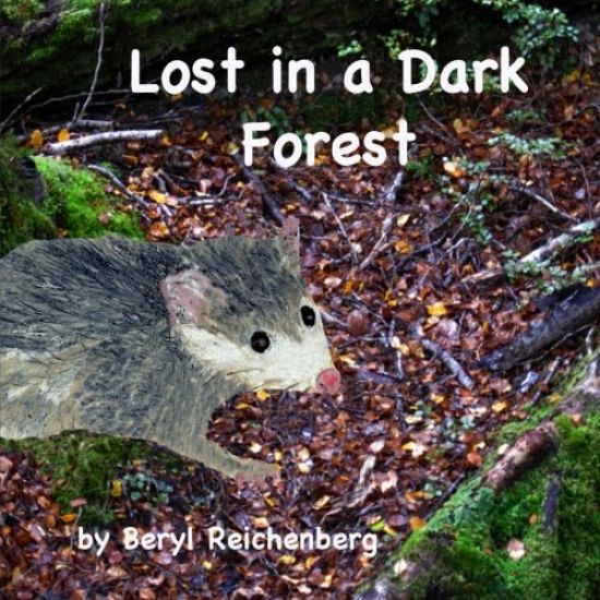 Lost in a Dark Forest