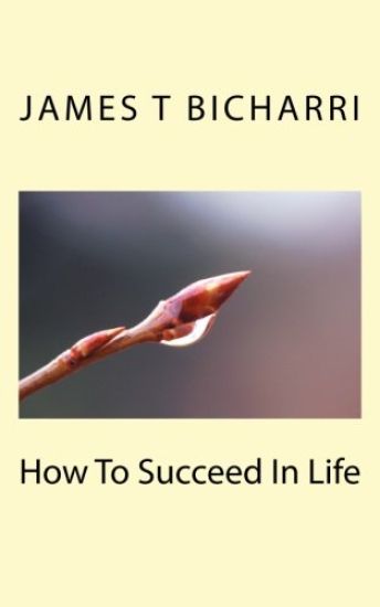 How To Succeed In Life