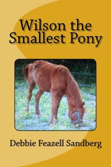 Wilson the Smallest Pony