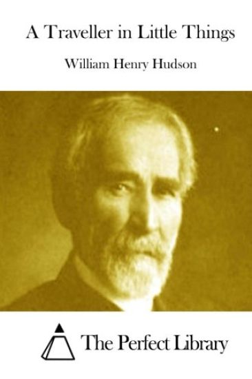 A Traveller in Little Things