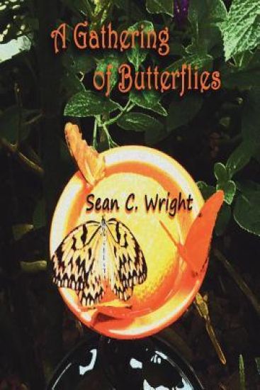 A Gathering of Butterflies