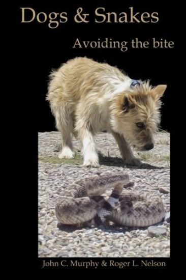 Dogs and Snakes: Avoiding the bite