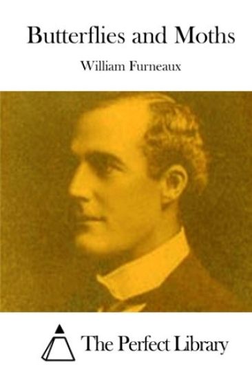 Butterflies and Moths