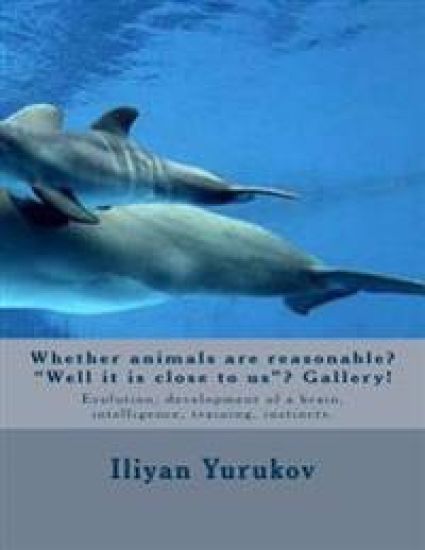 Whether animals are reasonable? "Well it is close to us"? Gallery!: Evolution, development of a brain, intelligence, training, instincts.
