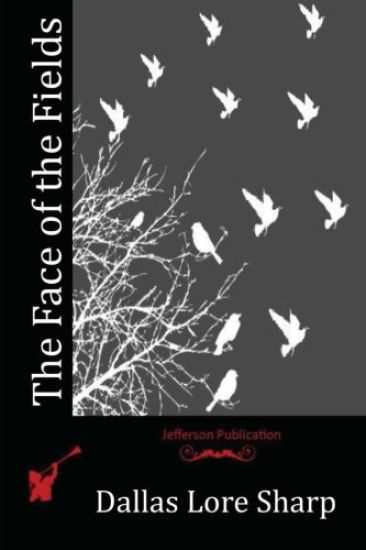 The Face of the Fields