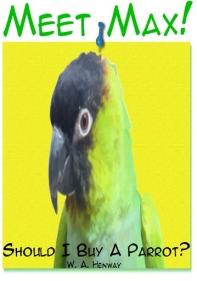 Meet Max!: Should I Buy A Parrot?