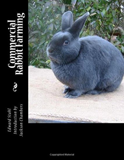 Commercial Rabbit Farming