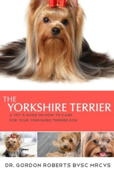 The Yorkshire Terrier: A vet's guide on how to care for your Yorkshire Terrier dog