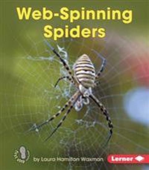 Web-Spinning Spiders