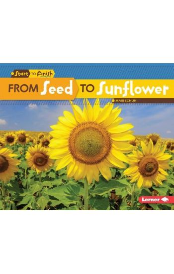 From Seed to Sunflower