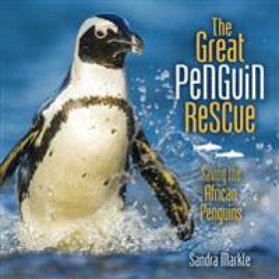The Great Penguin Rescue: Saving the African Penguins