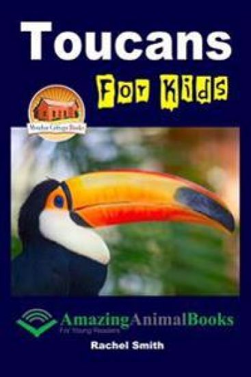 Toucans For Kids