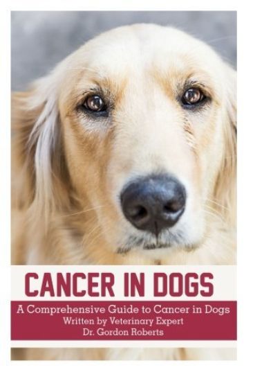 Cancer in Dogs: A Comprehensive Guide to Cancer in Dogs