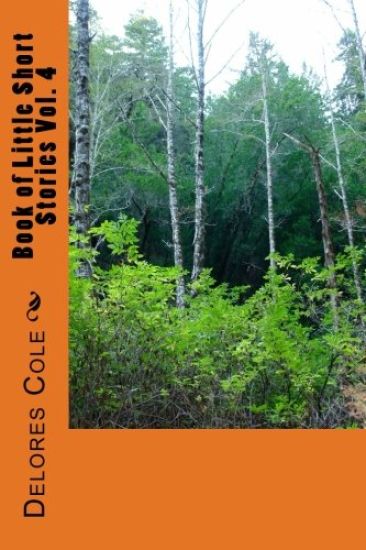 Book of Little Short Stories Vol. 4