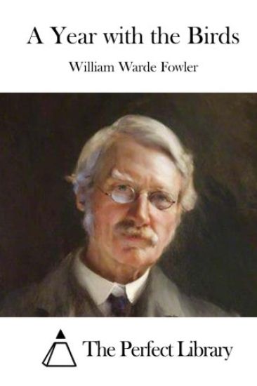 A Year with the Birds