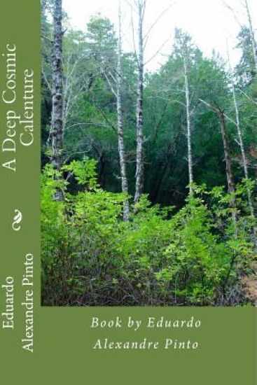 A Deep Cosmic Calenture: Book by Eduardo Alexandre Pinto