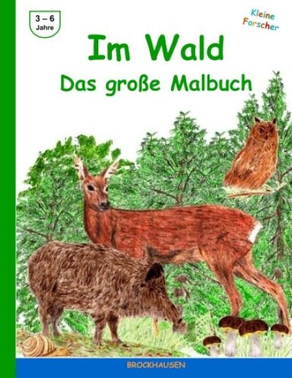 Im Wald - Das grosse Malbuch: Farbausgabe