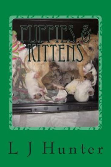 Puppies & Kittens