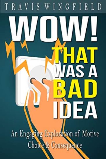 Wow! That Was a Bad Idea: An Engaging Exploration of Motive, Choice, and Consequence
