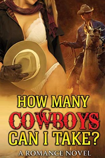 Cowboy Romance: How many can I take?