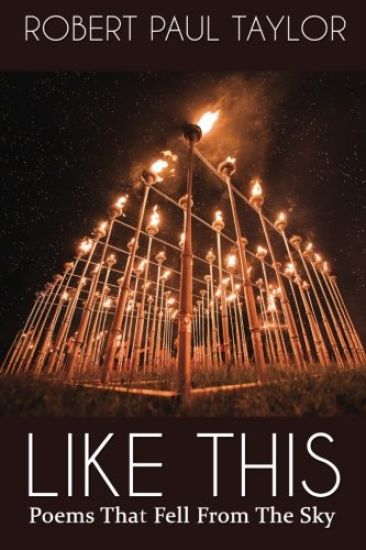Like This: Poems That Fell From The Sky