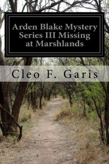 Arden Blake Mystery Series III Missing at Marshlands