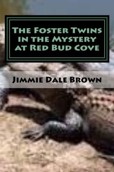 The Foster Twins in the Mystery at Redbud Cove: The Mysterious Ring
