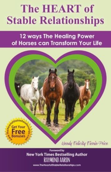 The HEART of Stable Relationships: 12 ways The Healing Power of Horses can Transform Your Life