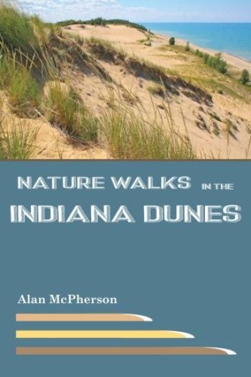 Nature Walks in the Indiana Dunes