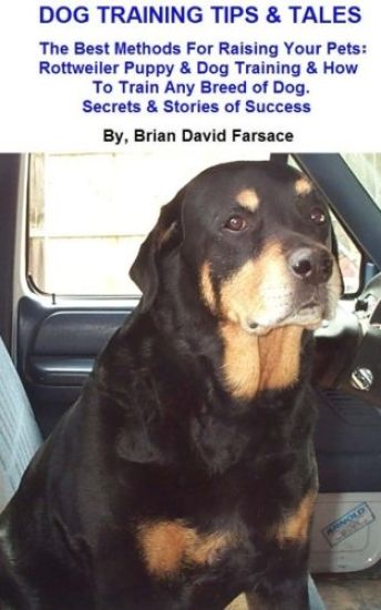Dog Training Tips & Tales: Rottweiler puppy training, how to train any breed of dog, Rottweiler training, caring for your Rottweiler, best equipm