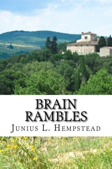 Brain Rambles