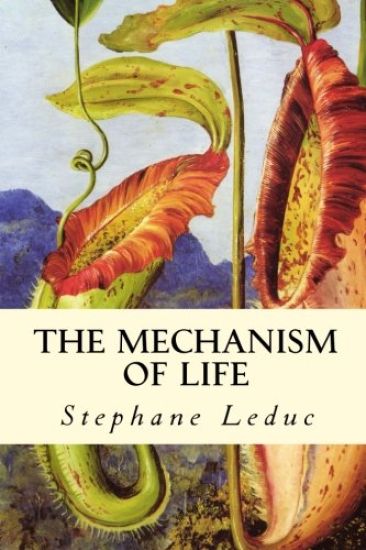 The Mechanism of Life