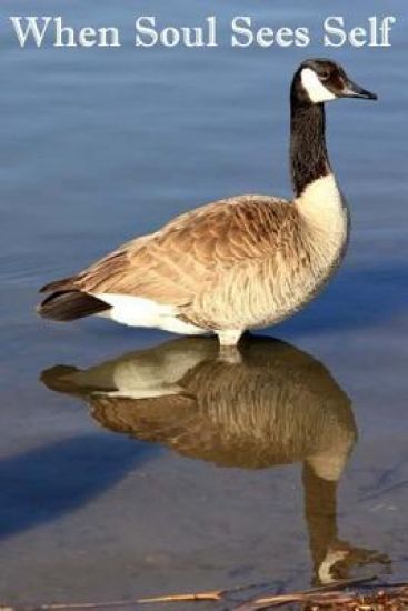 When Soul Sees Self: Our Resting Place