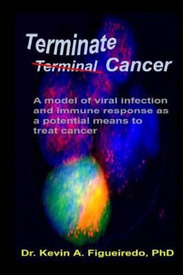 Terminate Cancer: A model of viral infection and immune response as a potential means to treat cancer