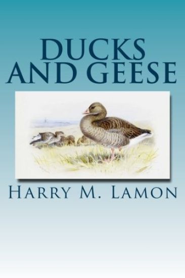 Ducks and Geese