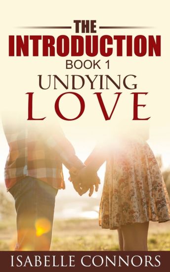 The Introduction (Undying Love#1)