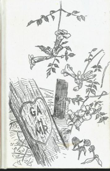 Drawings by Matt Richards: If Found Please Return to Gabrielle Auerbach