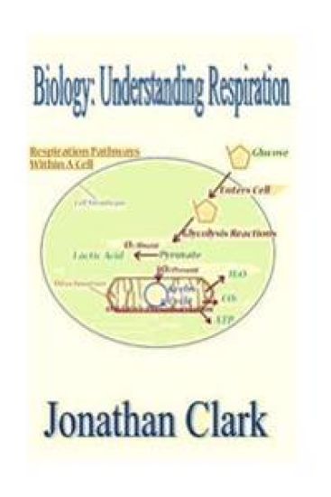 Biology: Understanding Respiration