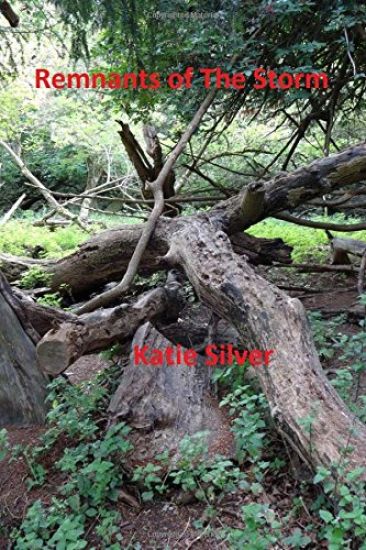 Remnants of the Storm: Storms Trilogy book 3