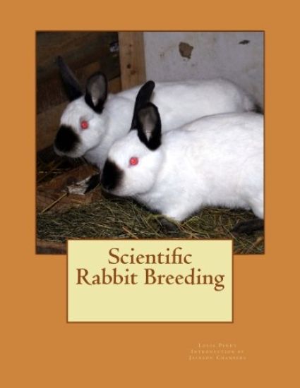 Scientific Rabbit Breeding