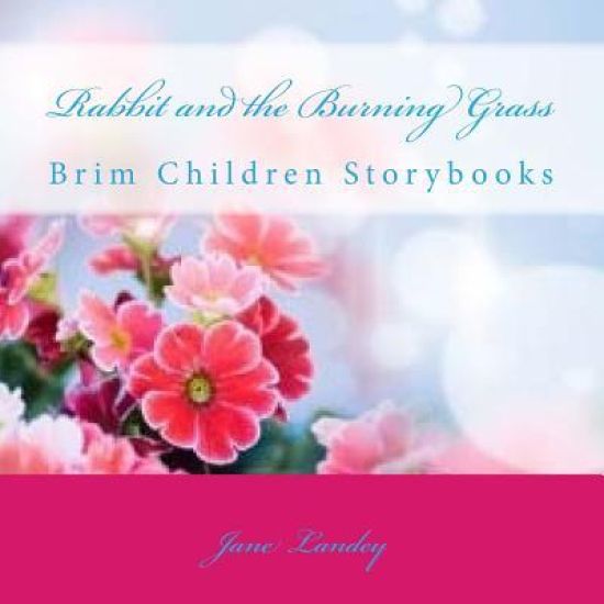 Rabbit and the Burning Grass: Brim Children Storybooks