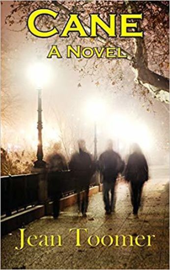 Cane A Novel