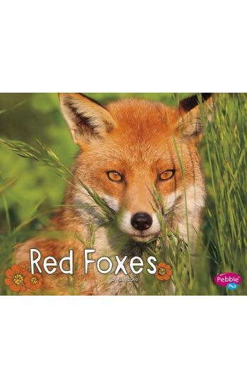 Red Foxes