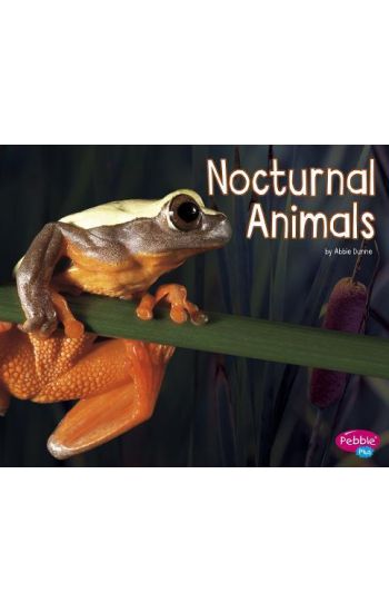 Nocturnal Animals