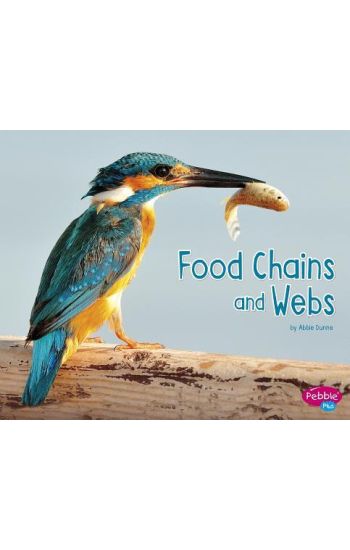 Food Chains and Webs