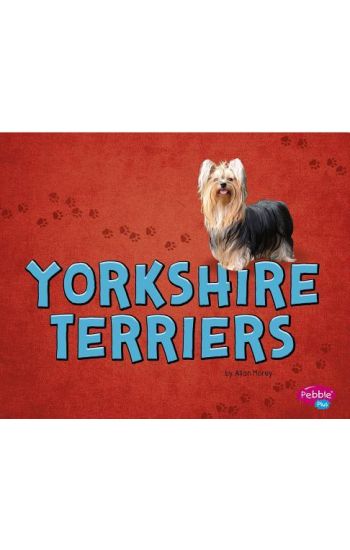 Yorkshire Terriers