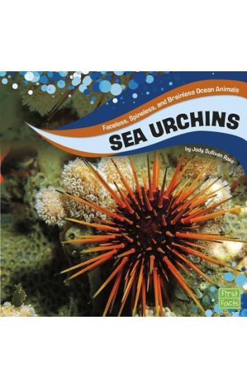 Sea Urchins