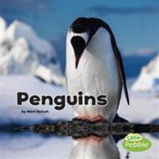 Black and White Animals Penguins