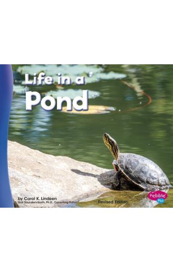 Life in a Pond