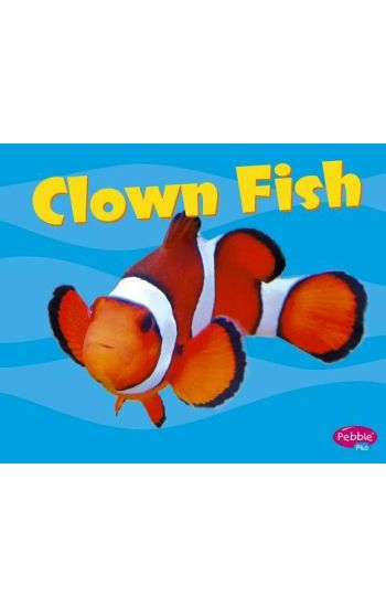 Clown Fish